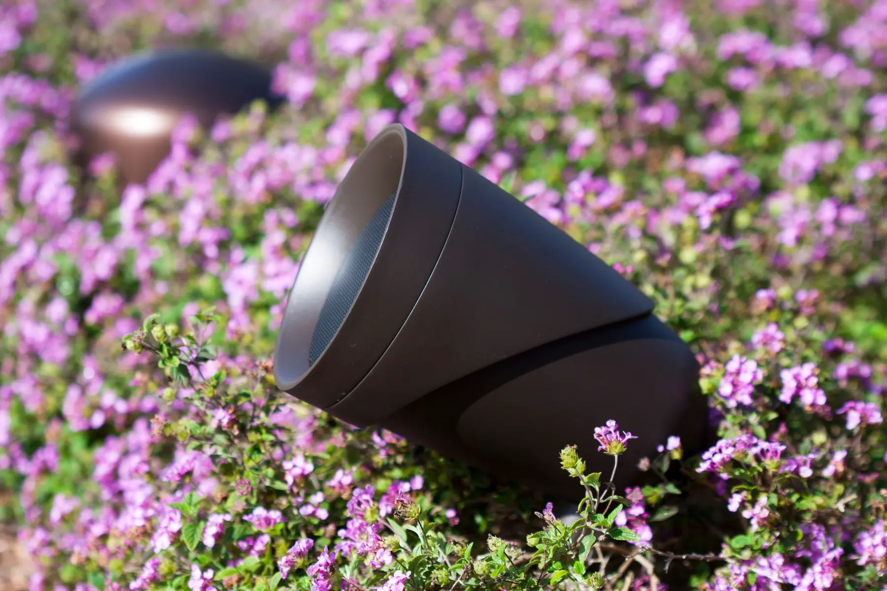 Sonance Landscape-Satellit auf Erdspieß zwischen violetten Blüten
